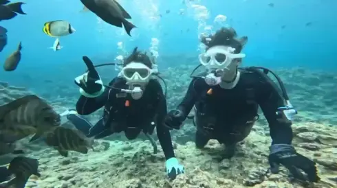 青洞潛水照片